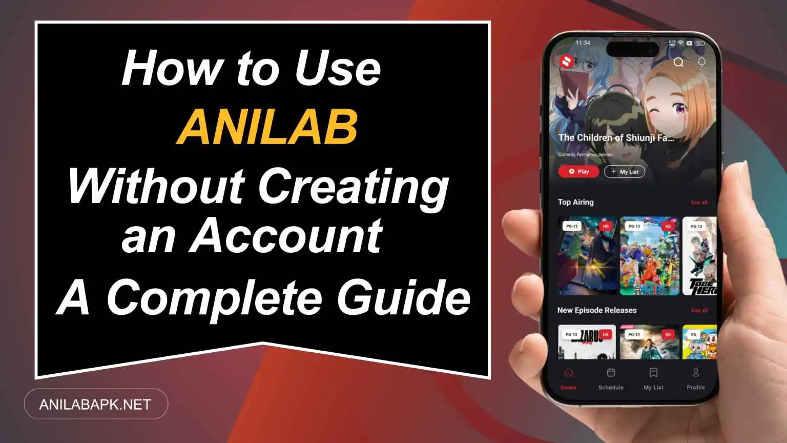How to use Anilab Without Creating an Account